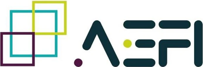 Fintech Spain (AEFI)